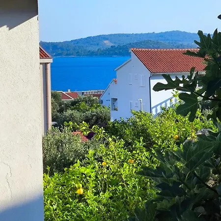 Διαμέρισμα Zusy *