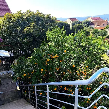 Apartment Zusy *